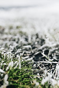 Frost covered grass in the morning thumbnail