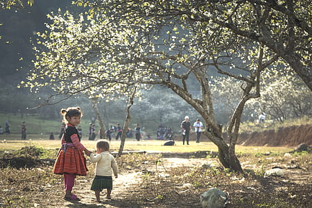 girl holding toddler's hand near tree thumbnail