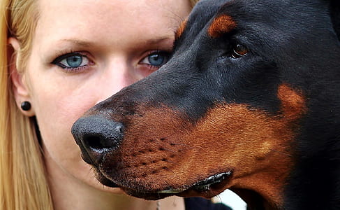 closeup photo of woman beside adult black and mahogany rottweiler thumbnail