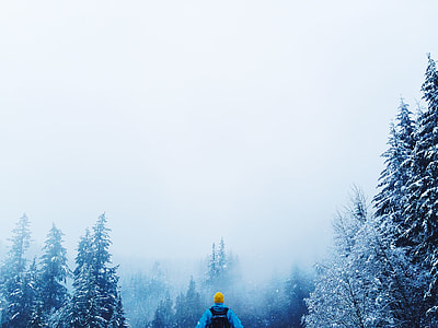 man in blue and black jacket near Pinus tree thumbnail