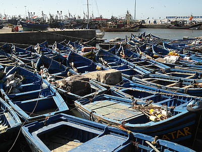 blue canoes thumbnail