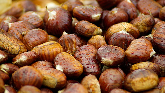 focused photo brown fruit thumbnail