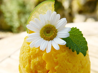 ice cream topped with white daisy flower thumbnail