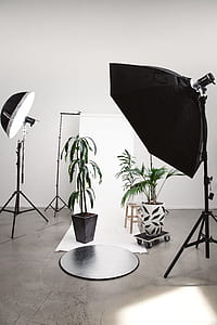 three plants on pots on beside softboxes thumbnail