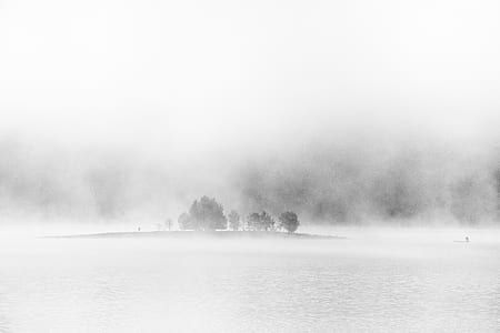 sketch of trees thumbnail