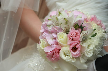 bride holding white and pink flower bouquet thumbnail