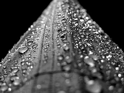 macro photography black water droplets on black surface thumbnail