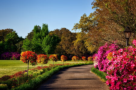 photo of garden during daytime thumbnail