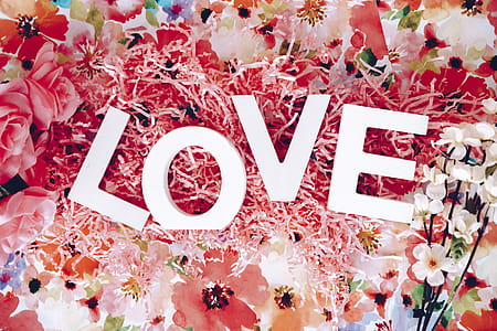 Love Letters In Pink Hearts Photo thumbnail