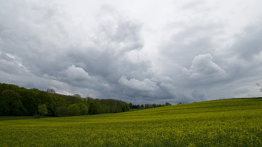 green field under cloudy sky thumbnail