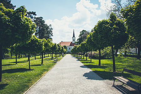 pathway surrounded by green leafed trees during daytime thumbnail