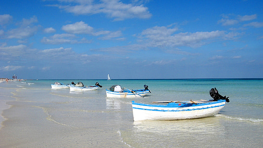 four white-and-blue canoes on seashore during daytime thumbnail