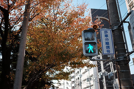 turned on pedestrian signage displaying passing sign thumbnail