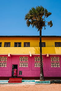 woman entering room beside coconut tree under clear blue sky thumbnail