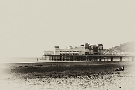 sea, black-and-white, landscape, beach thumbnail