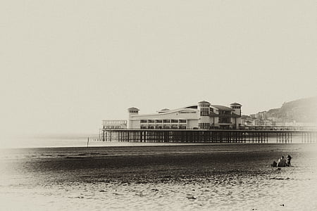 grayscale photo of man and woman sitting on sand thumbnail