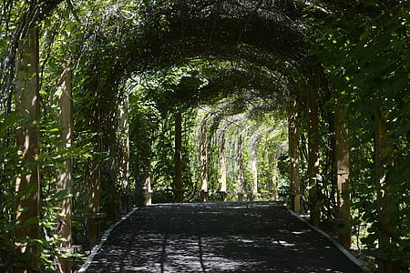 concrete pathway with arch thumbnail