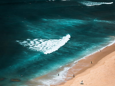 group of people on seashore thumbnail