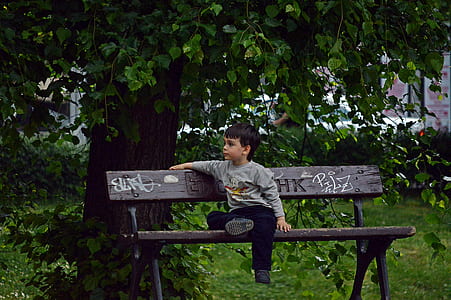 boy sitting on brown wooden bench during daytime thumbnail