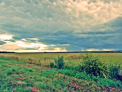green grass field under white clouds thumbnail