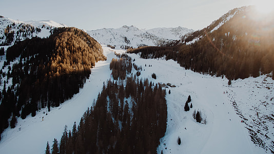 brown snow-capped mountains with trees thumbnail