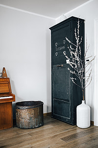 Contemporary interior with catkins thumbnail