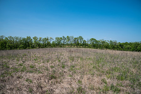 Farm fields and trees  thumbnail