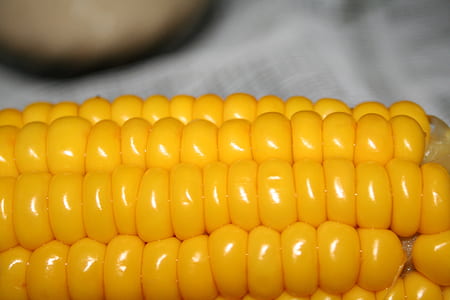 macro photography of corn thumbnail