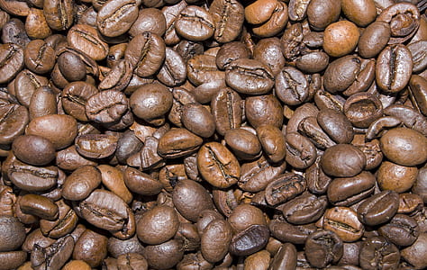 close-up photography of coffee beans thumbnail