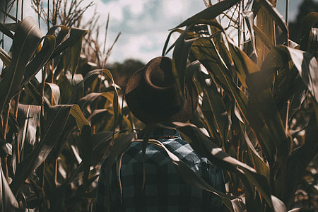 closeup photo of person wearing brown hat and gingham shirt thumbnail