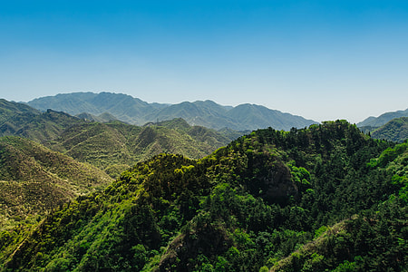 tree covered mountain during day thumbnail