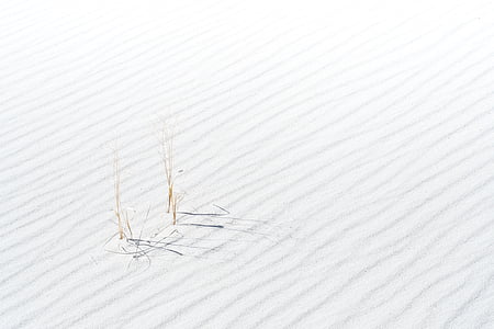 brown grass during daytime thumbnail