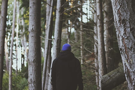 person wearing black jacket walking in the woods thumbnail