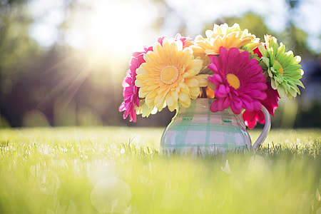 assorted flowers on white and green ceramic teapot during daytime thumbnail