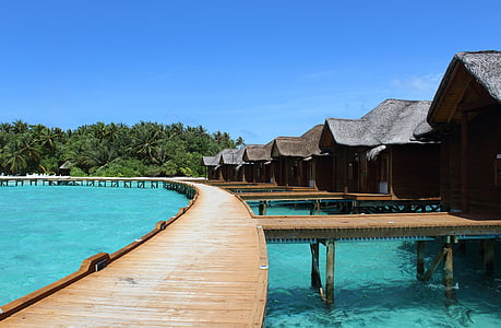 brown wooden dock thumbnail