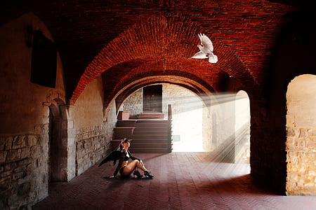 Succubus and dove thumbnail