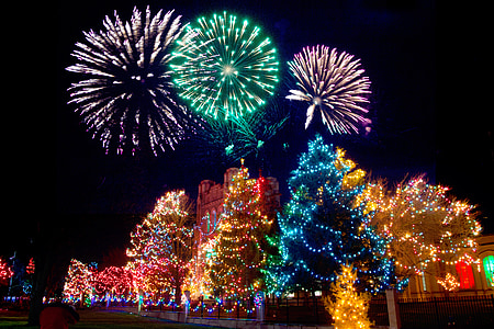lighted christmas trees photo during daytime thumbnail