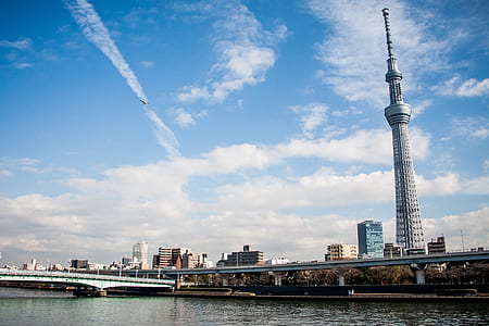 city buildings near body of water thumbnail