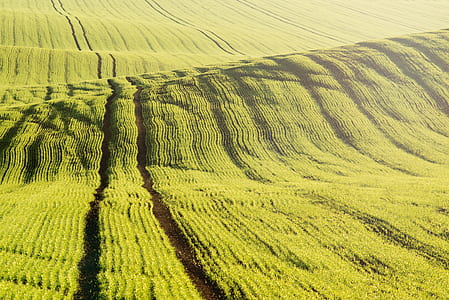 green grass-covered hills thumbnail