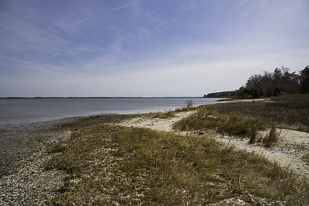 Coastline Landscape on the York River in Yorktown, Virginia thumbnail