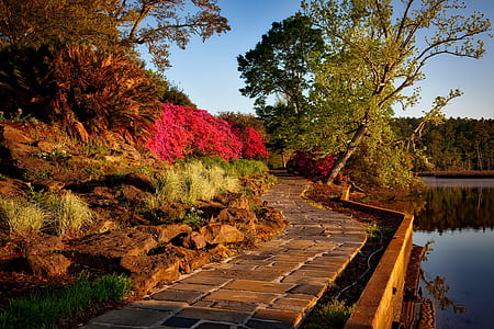 brown pathway near body of water thumbnail