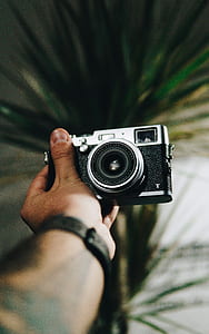 person holding camera against palm tree thumbnail