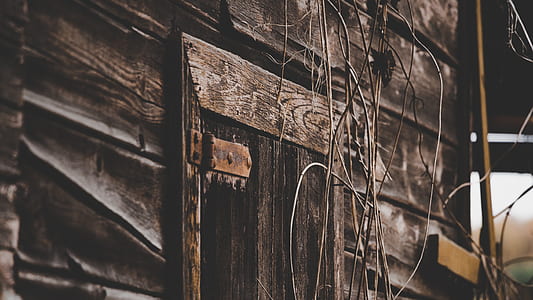 Close Up Photo of Gray Wooden Door thumbnail