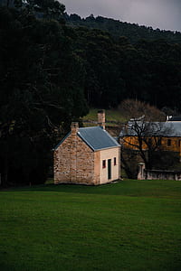brown brick house bear forest thumbnail
