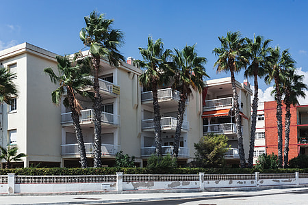 Palm trees in Spain thumbnail