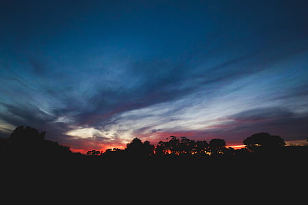 trees during sunrise thumbnail