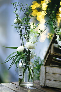 white petaled flowers in clear glass vase thumbnail