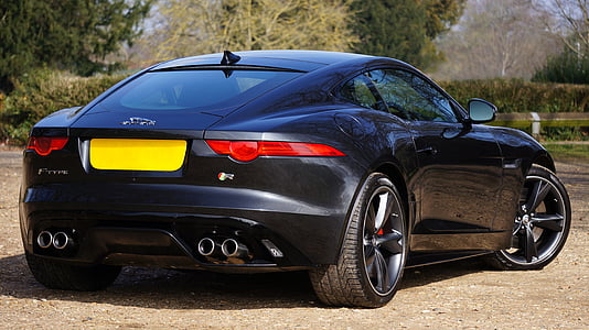 parked black coupe near trees thumbnail