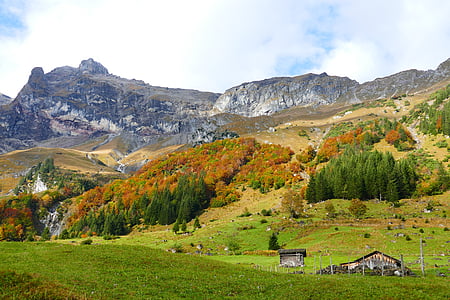 mountain range with trees and grass thumbnail