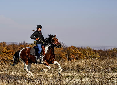 woman riding on horse under gray skies thumbnail